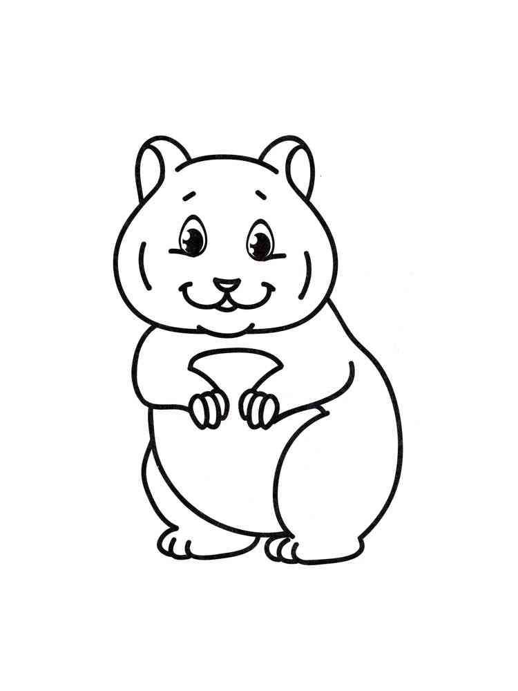 Simple Hamster coloring page