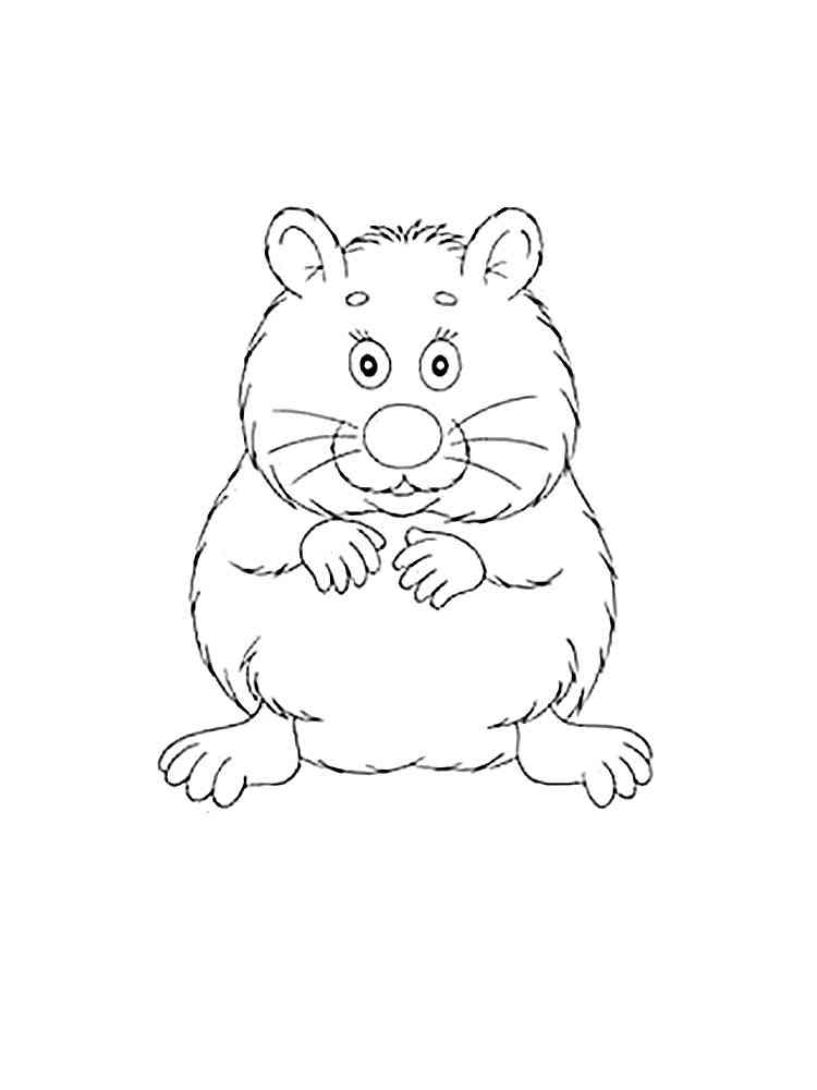 Cute Hamster coloring page