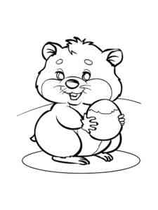 Hamster with nut coloring page