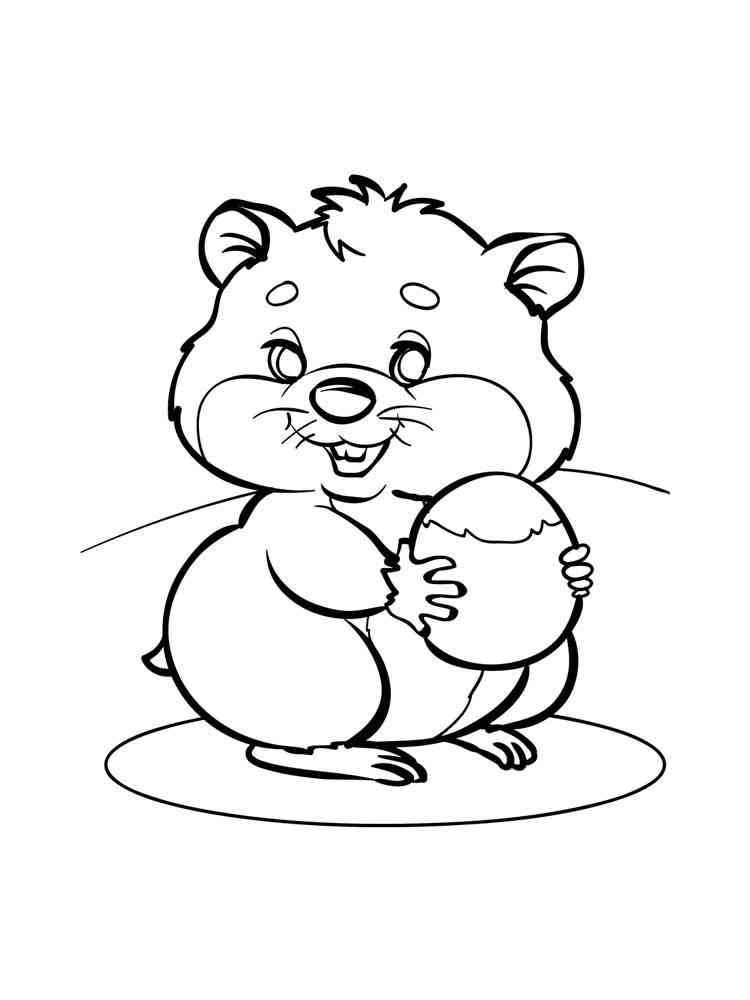 Hamster with nut coloring page