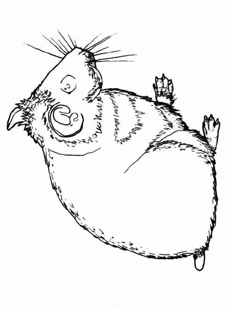 Easy Hamster coloring page