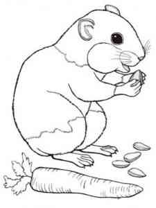 Hamster eats coloring page