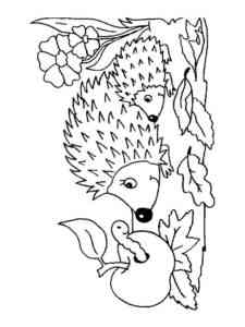 Hedgehog and little hedgehog coloring page