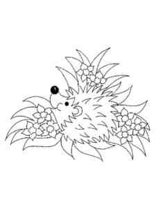 Hedgehog lying in flowers coloring page