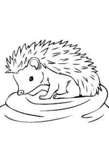 European Hedgehog coloring page