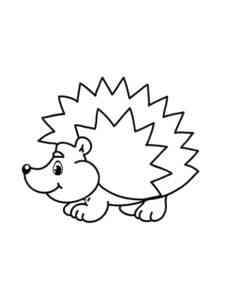 Common Hedgehog coloring page