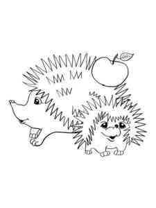 Hedgehog with cub coloring page