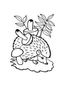 Hedgehog with mushrooms on its back coloring page