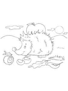 Beautiful Hedgehog coloring page