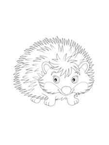 Cartoon Hedgehog coloring page