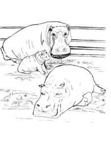 Hippo Family coloring page