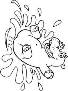Hippo bathes coloring page
