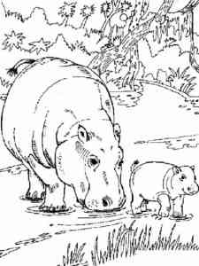 Hippo with cub coloring page