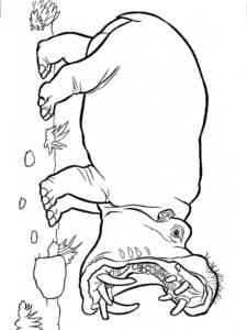Angry Hippo coloring page