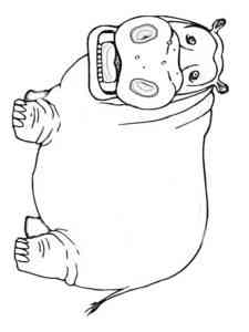 Big Hippo coloring page