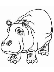 Large Hippo coloring page