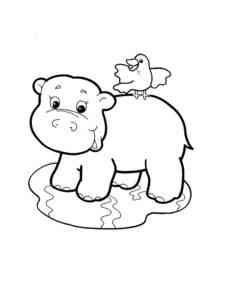 Cute Hippo with bird coloring page