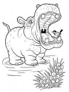 Hippo and Bird coloring page