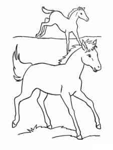 Two Foals coloring page