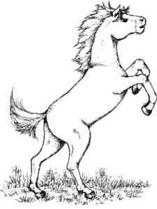 American Saddlebred Horse coloring page