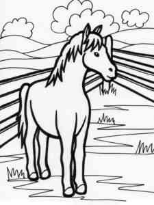 Cute Foal coloring page
