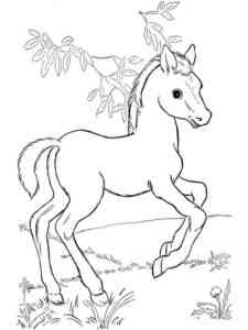 Simple Foal coloring page