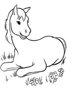 Foal lying down coloring page