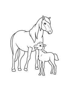 Mother with Baby Horse coloring page