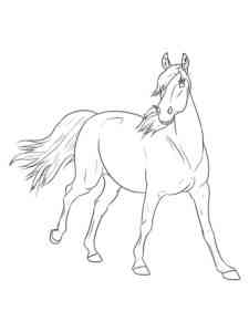 Palomino Welsh Horse coloring page