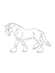 Gypsy Vanner coloring page