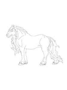 Gypsy Vanner Horse coloring page