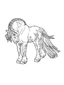 Knabstrupper Horse coloring page