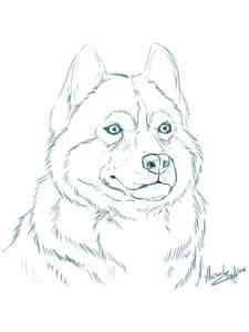 Husky Portrait coloring page