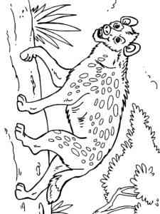 Spotted Hyena Walking coloring page