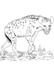 African Spotted Hyena coloring page