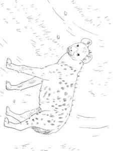 Common Spotted Hyena coloring page