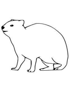 Simple Hyrax coloring page
