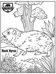 Rock Hyrax coloring page