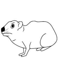 Easy Hyrax coloring page