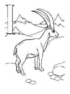 Ibex in the mountains coloring page