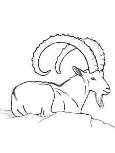 Ibex lies on rock coloring page