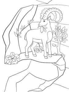 Alpine Ibex Eating Grass coloring page