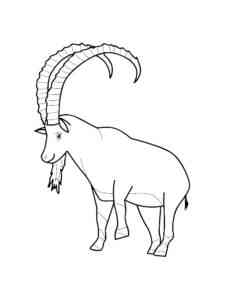 Easy Alpine Ibex coloring page