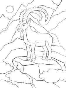 Alpine Ibex coloring page