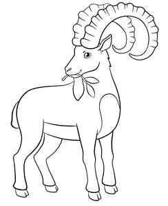 Ibex coloring pages
