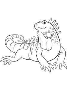 Cute Green Iguana coloring page