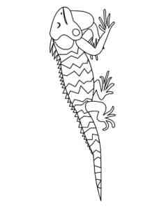 Fijian Banded Iguana coloring page