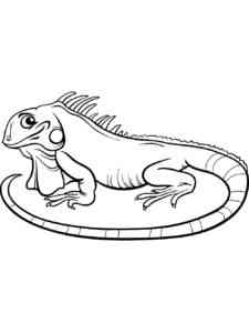 Cute Iguana coloring page