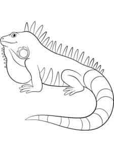 Easy Iguana coloring page