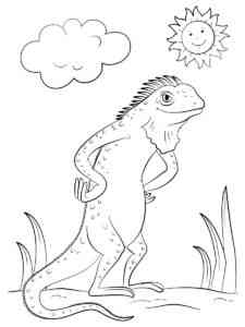 Funny Iguana coloring page